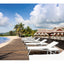 Pacific Sunlounger
