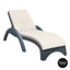 Fiji Sunlounger